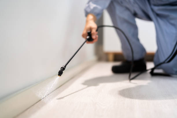 Licensed Pest Control service in Coventry Lake, CT - Show Me Pest Control