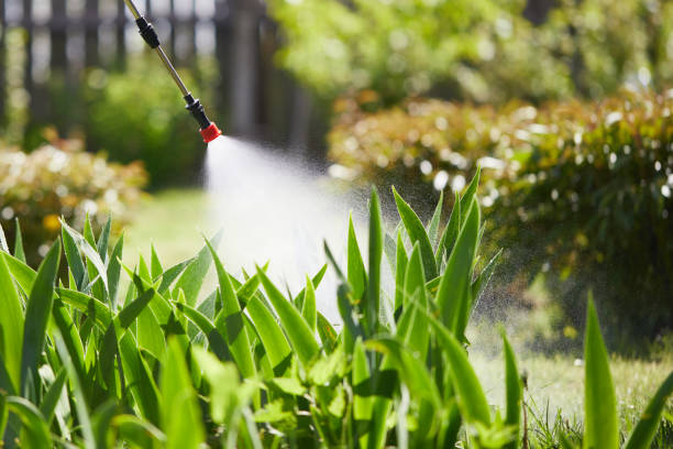 Tamper-Resistant Bait Stations for Rodents in Coventry Lake