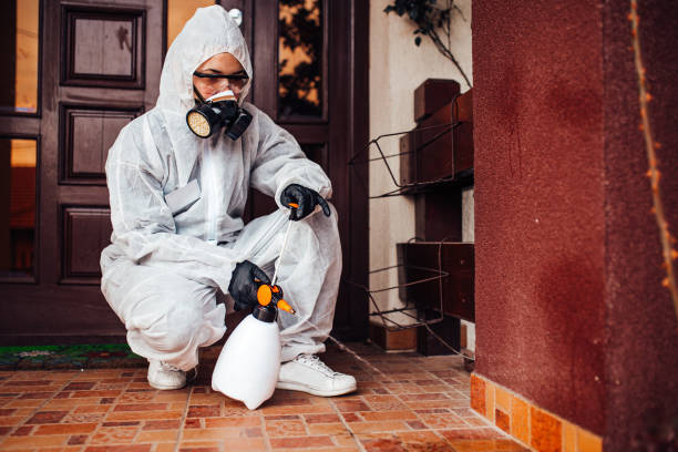Attic and Crawl Space Rodent Treatment in Coventry Lake