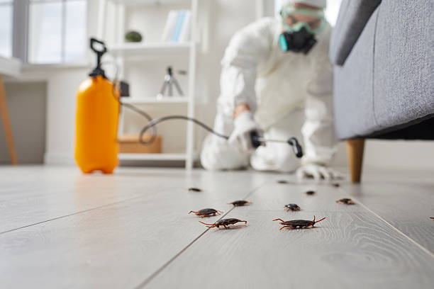 Commercial Rodent Management in Coventry Lake